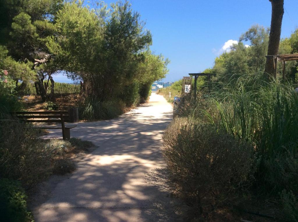 La Badine 5P Plage Piscine Clim Jacuzzi Parc Luxuriant Hyères Dış mekan fotoğraf